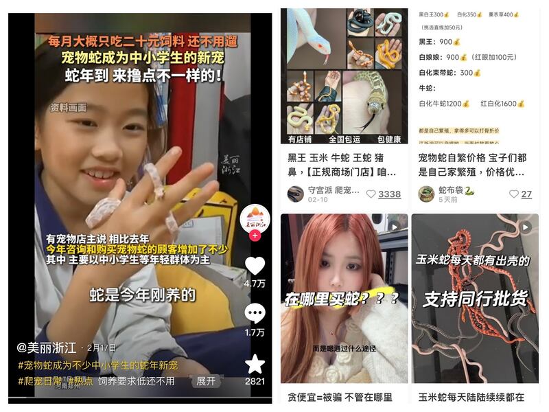 撸蛇
